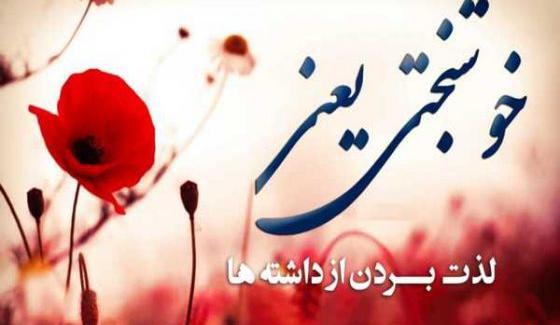 عکس شاد یراحی