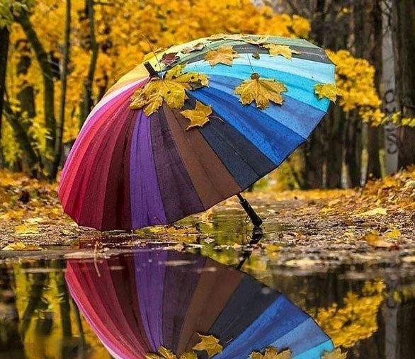 عکس شاد یراحی