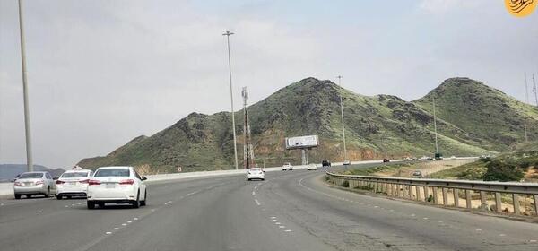 عکس صحرا سبز