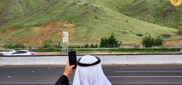 عکس صحرا سبز