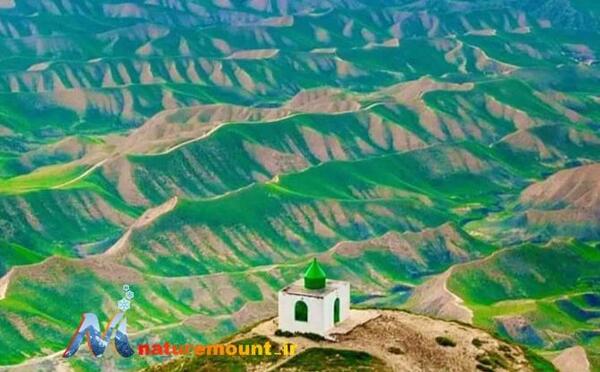 عکس صحرا سبز