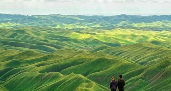 عکس صحرا سبز