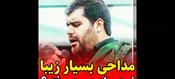عکس صورت شاهین