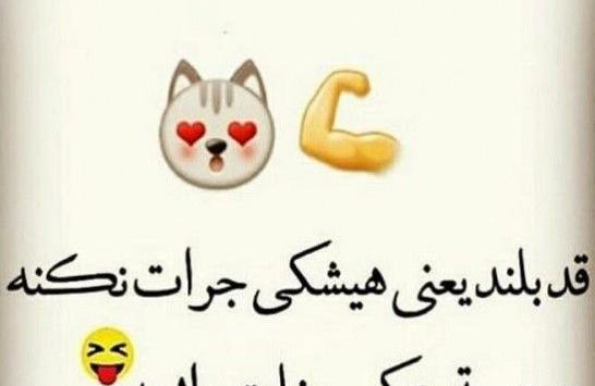 عکس روز قد بلندا مبارک