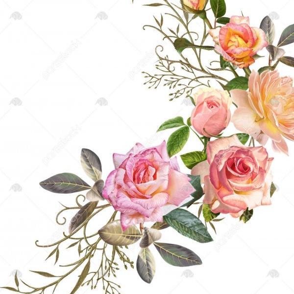 عکس تصویر پس زمینه سفید