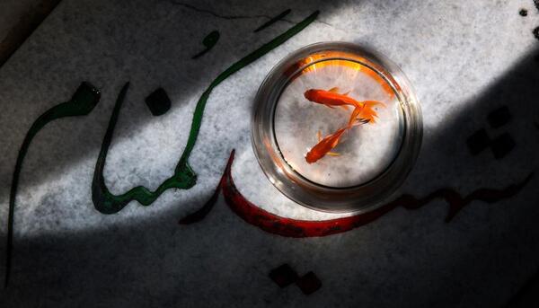 عکس شهید گمنام برای پروفایل