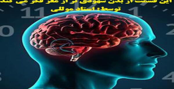 عکس نیکا فلاحی قبل و بعد از عمل