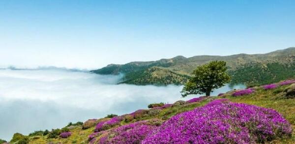 عکس غمگین برای هایلایت اینستاگرام