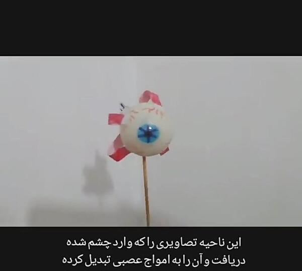 عکس اسکلت درس علوم پنجم