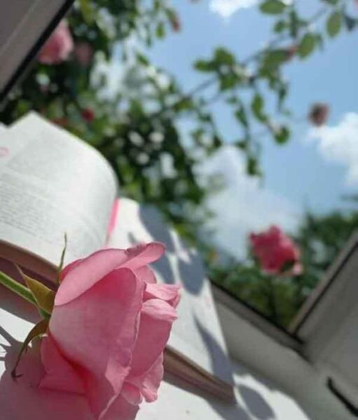 عکس پروفایل شیک برای گروه دوستانه