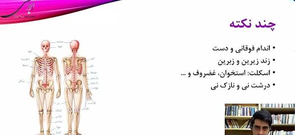 عکس بافت استخوانی