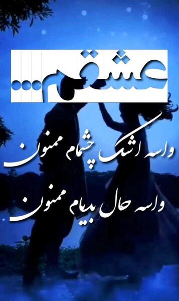 عکس لانه ی جغد