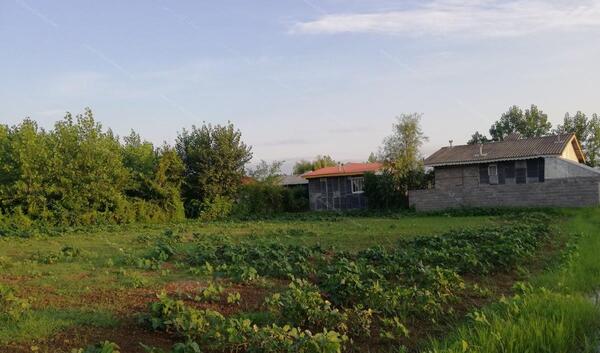 عکس زمین باغی