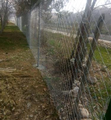 عکس زمین باغی