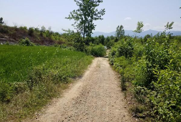 عکس زمین باغی