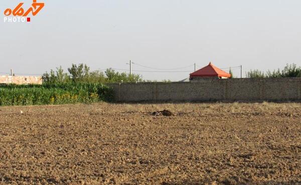 عکس زمین باغی