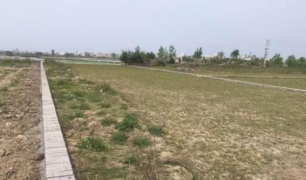 عکس زمین باغی