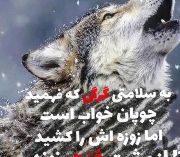 عکس نوشته های لاتی بهروز وثوقی
