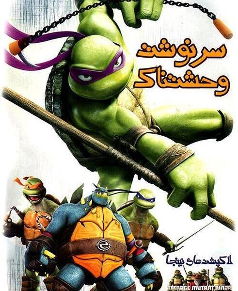 عکس لاک پشت نینجا واقعی