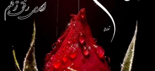 عکس تولد ضربان قلبم