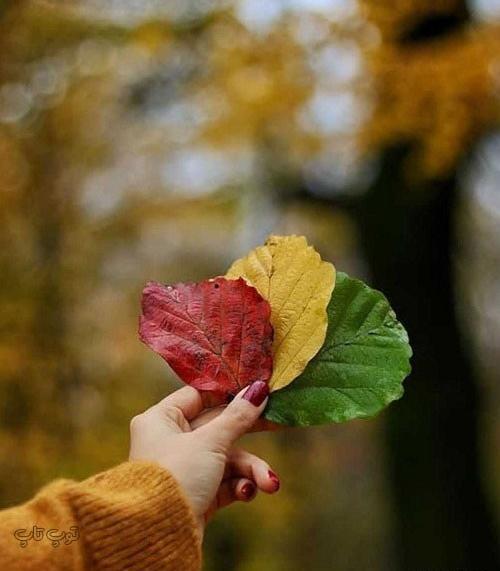 عکس پروف دخترونه پاییز