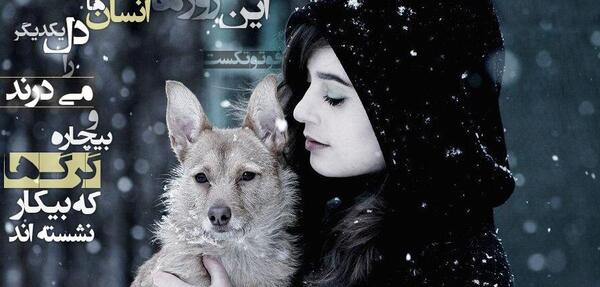 عکس نوشته زیبای گرگ