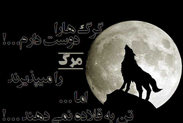 عکس نوشته زیبای گرگ