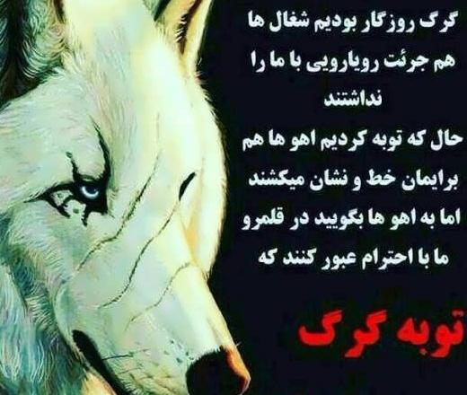 عکس نوشته زیبای گرگ