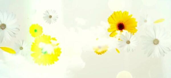 عکس گل روی آب برای پروفایل