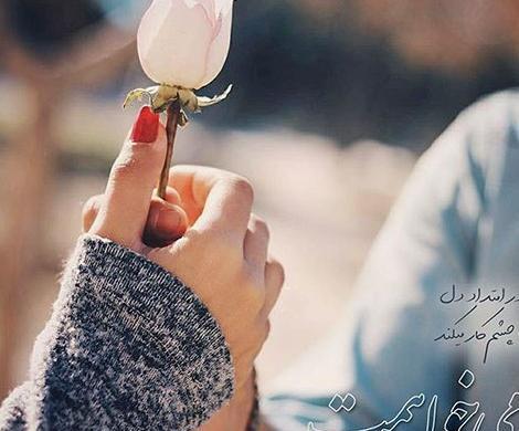 عکس گل روی آب برای پروفایل