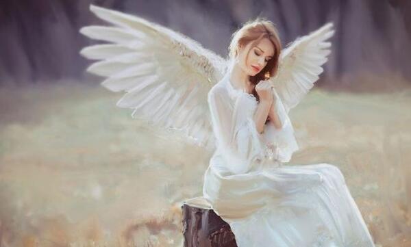 عکس فرشته گل