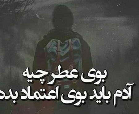 عکس فرشته گل