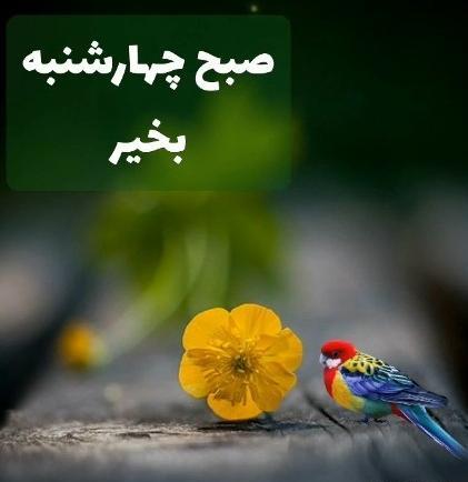 دانلود عکس نوشته صبح چهارشنبه بخیر