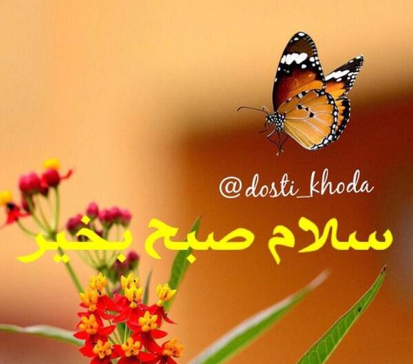 دانلود عکس نوشته صبح چهارشنبه بخیر