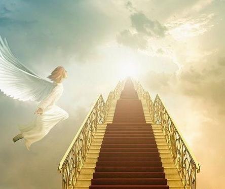 عکس های بهشت واقعی