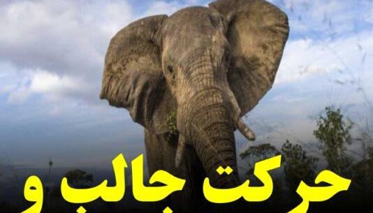 عکس فروشگاه کلاه زمستانی مردانه