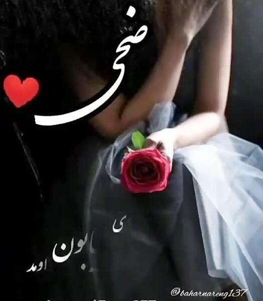 عکس اسمی ضحی