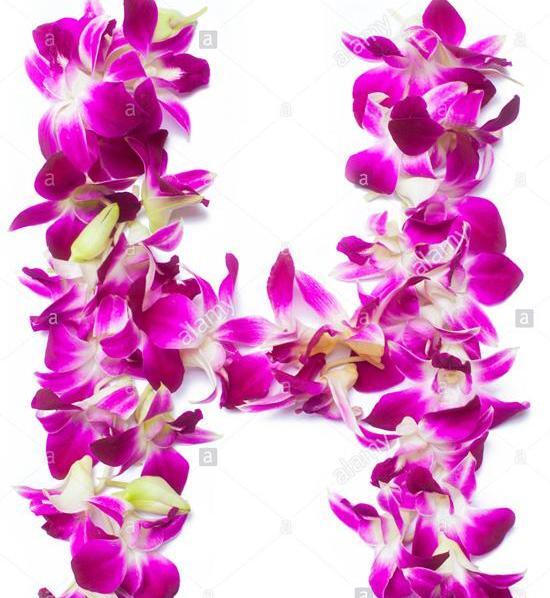 عکس پروفایل عاشقانه با حرف h