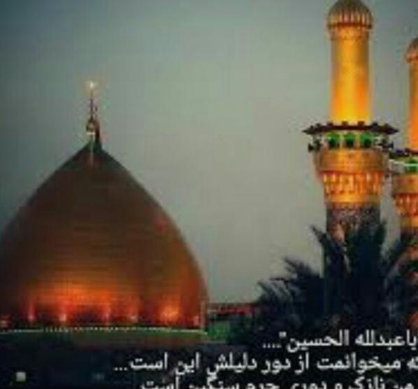 عکس ثواب زیارت امام حسین