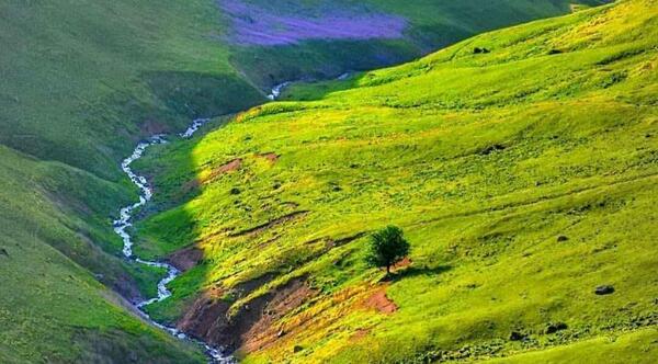 عکس جاده پونل