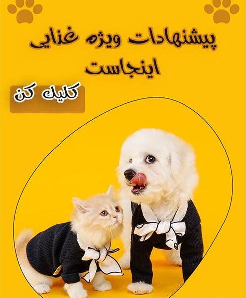 عکس همستر خرسی