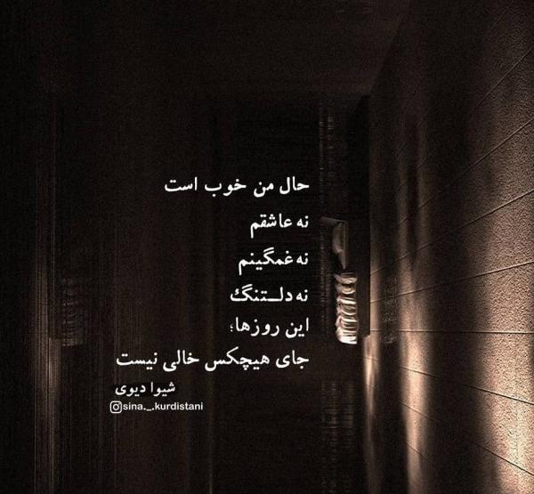 عکس نوشته لذت تنهایی