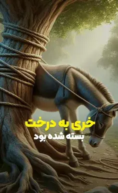 عکس های دنیا جهانبخت بدون آرایش