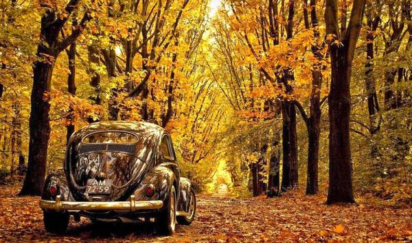 عکس پاییز فول اچ دی