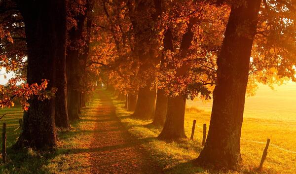 عکس پاییز فول اچ دی