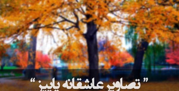 عکس پاییز فول اچ دی