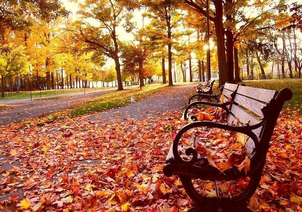 عکس پاییز فول اچ دی