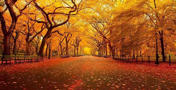 عکس پاییز فول اچ دی