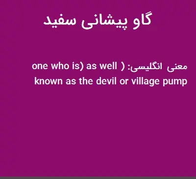 عکس گاو پیشانی سفید