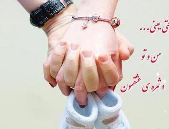 عکس گاو پیشانی سفید